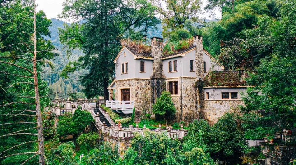 在天目山的苍山绿海中，周恩来如何推动抗日民族统一战线？ 