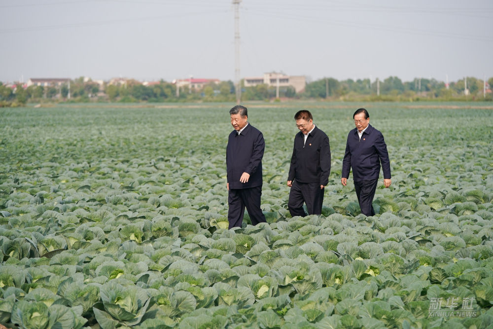 图片说明
