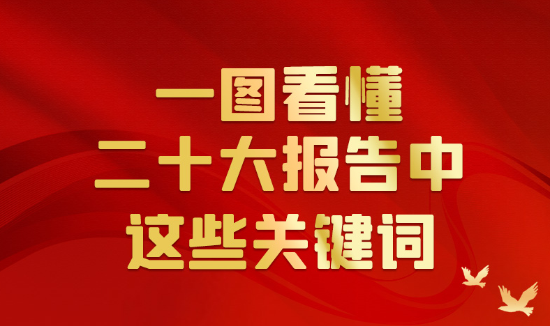 一图看懂二十大报告中这些关键词