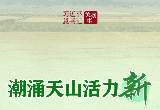 习近平总书记关切事丨潮涌天山活力新