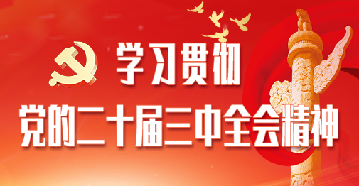 学习贯彻党的二十届三中全会精神